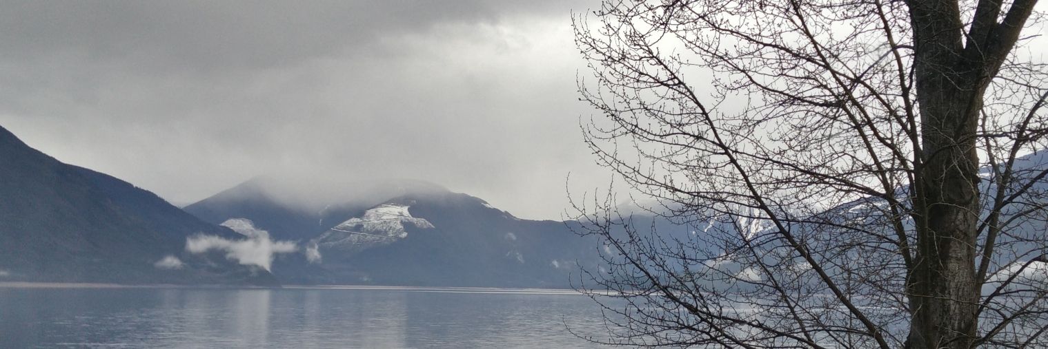 Chainsofchaos(he/him) banner