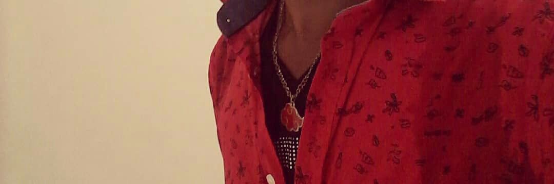 constellar phoenix banner