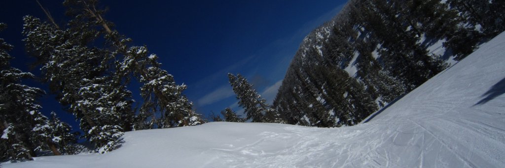 Fraser_Morrison's profile banner image