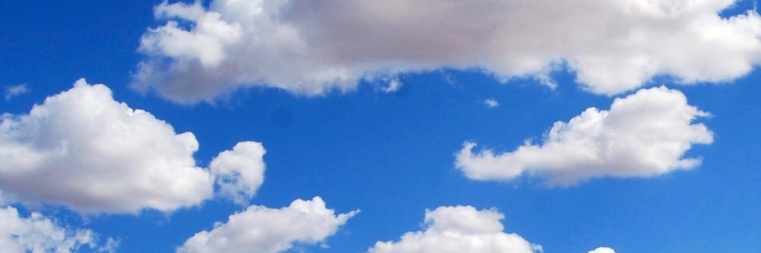Eve_McCanny's profile banner image