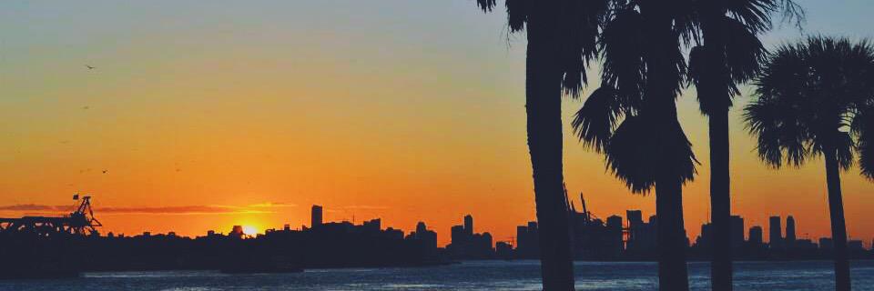 PauLancellotti's profile banner image