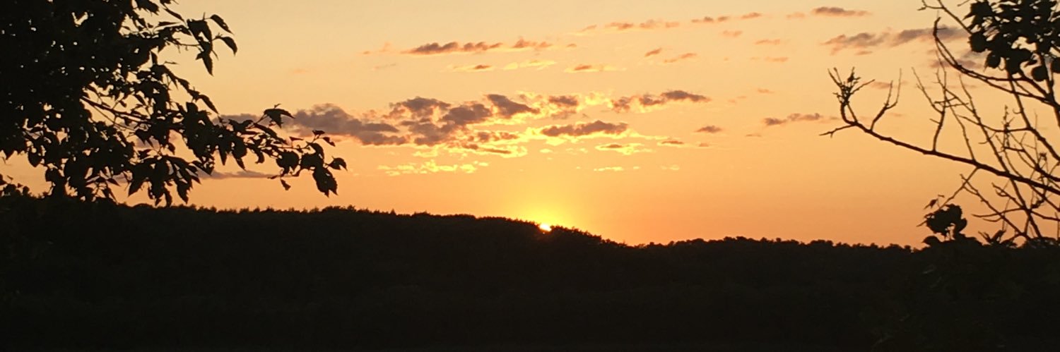 Stephy:)⚾️❤️28⭐️ banner