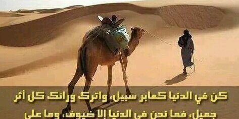 Musaed_Almarri's profile banner image