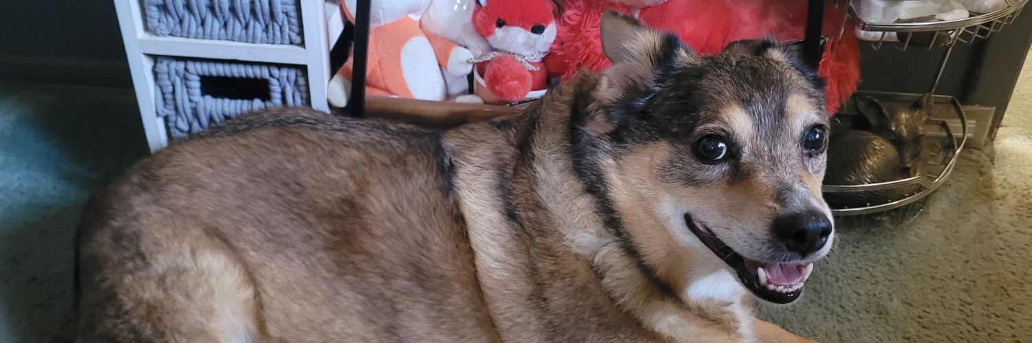 Chris Softpaw banner