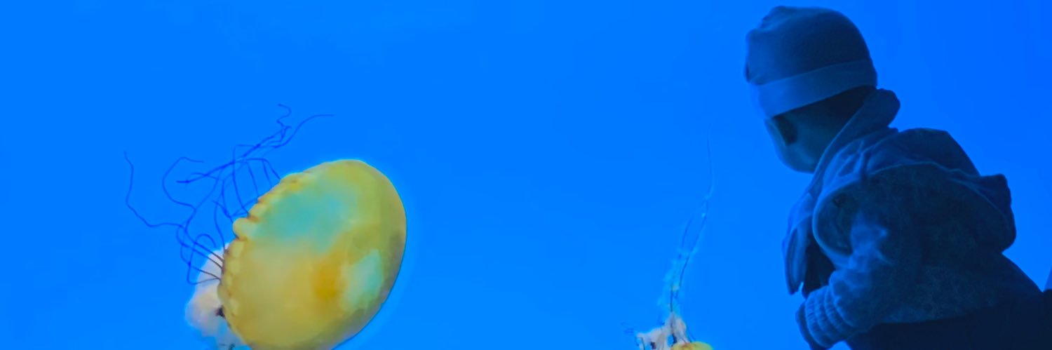 jenvrgs's profile banner image