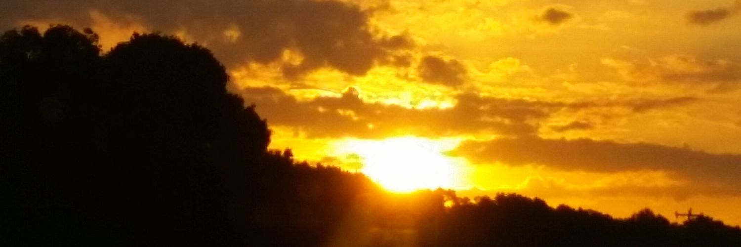 BethBrown84's profile banner image