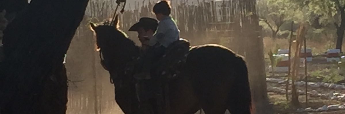 Guillermo Noriega E. banner