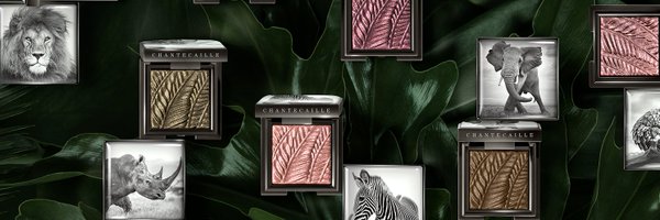 Chantecaille Profile Banner