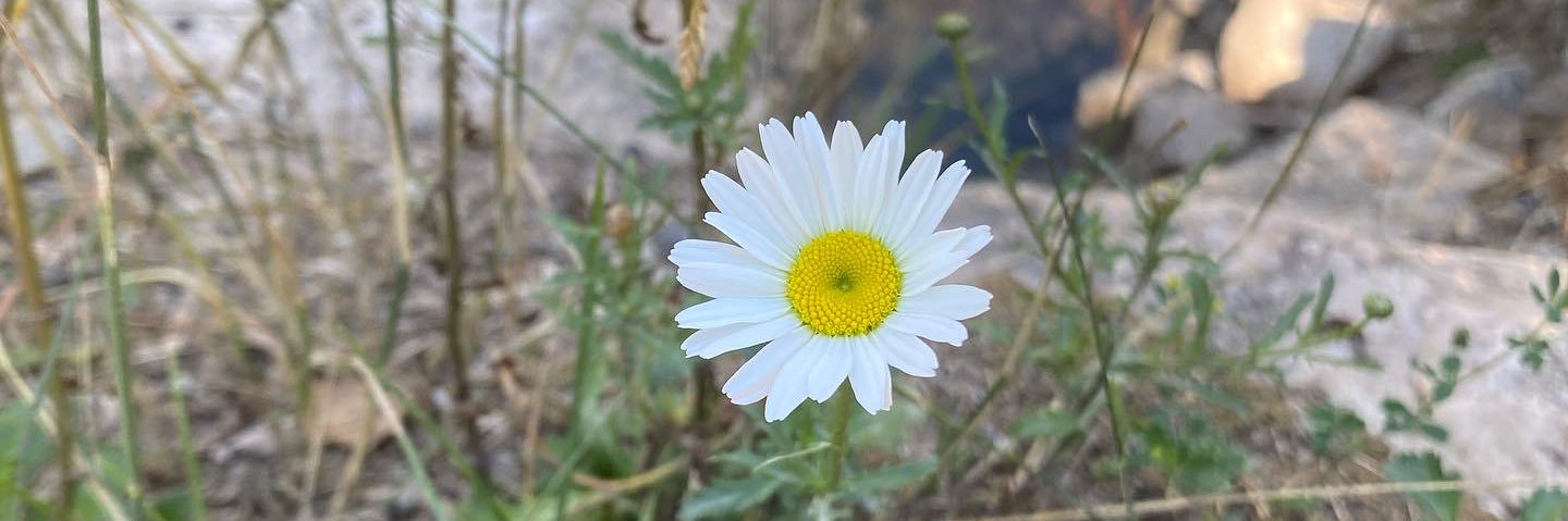 Hayley_118's profile banner image