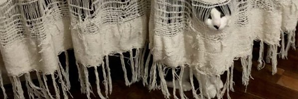 tainasecontrola's profile banner image