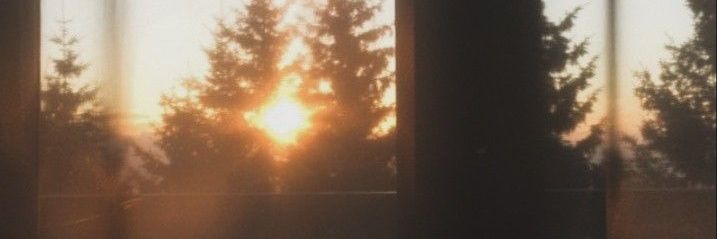 des. banner