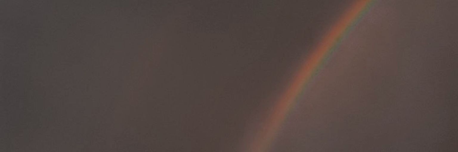 pembasmiparasit's profile banner image
