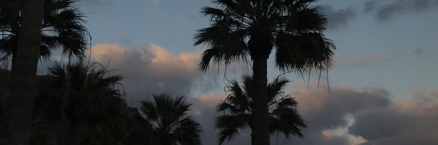 stefffsm's profile banner image