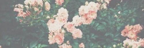 omfg_itsmorgan's profile banner image
