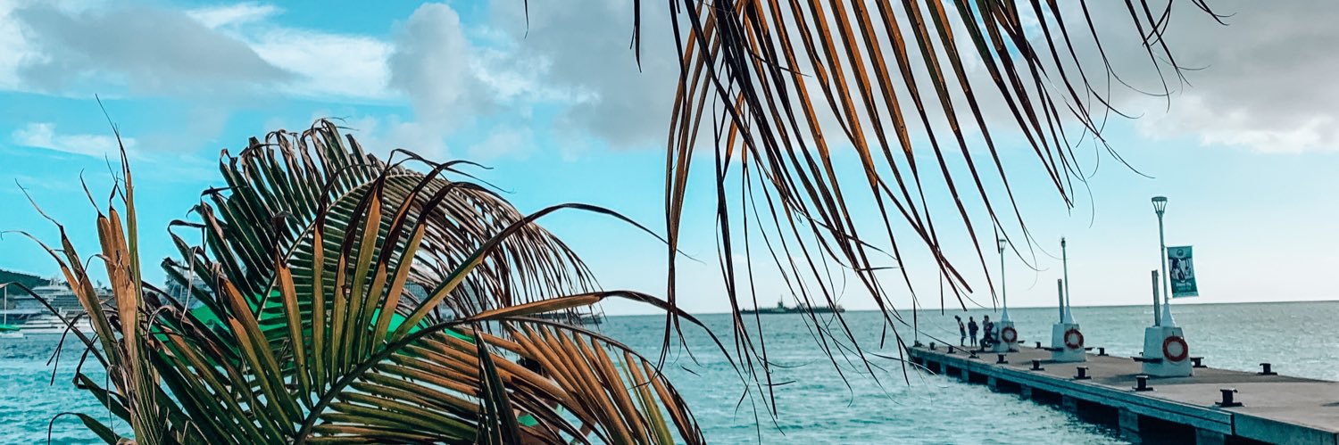 ammbbbeerr's profile banner image