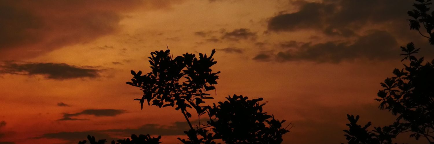 sopiamedina95's profile banner image