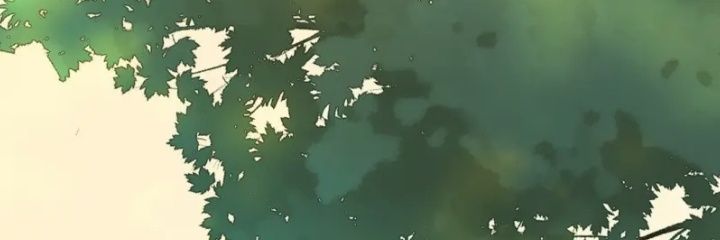 ivancryptoibis's profile banner image