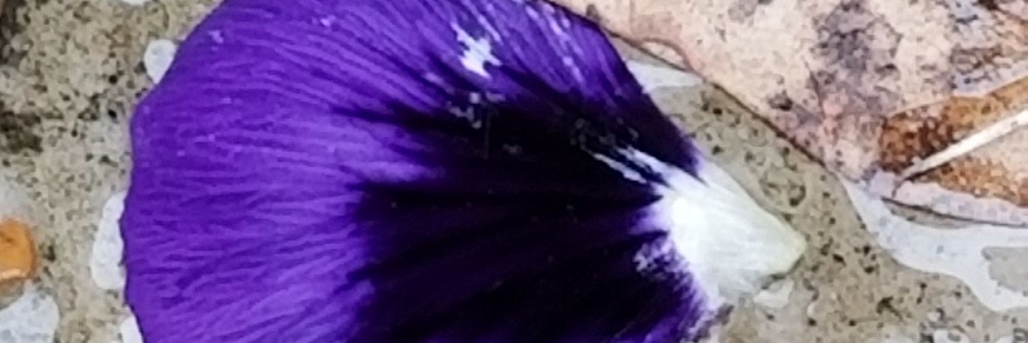 LiquidFur's profile banner image