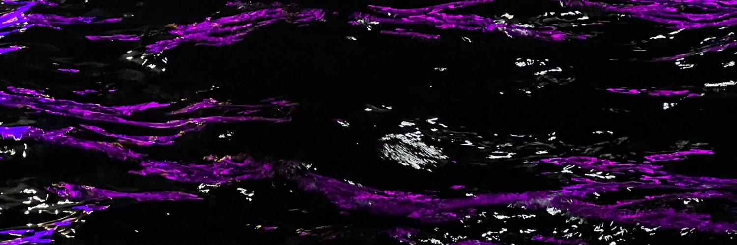 vivekarachel's profile banner image