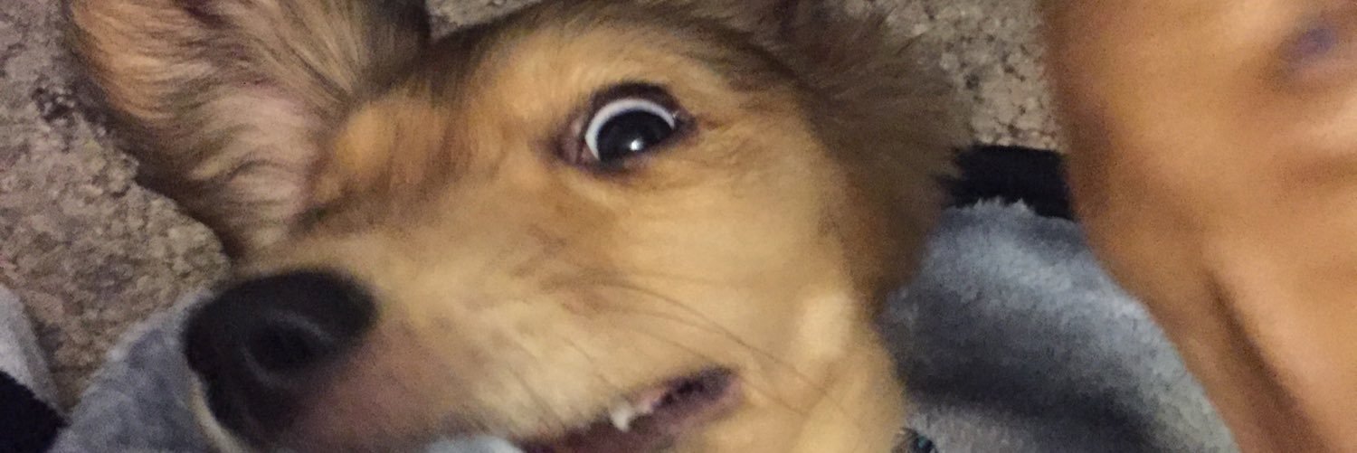 TheHoffDaddy's profile banner image