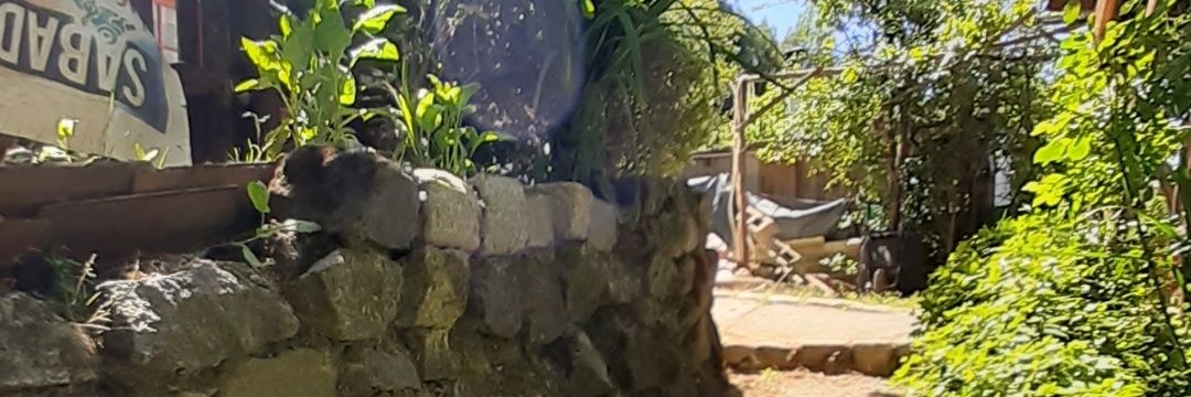 Tomasfelipeherr's profile banner image