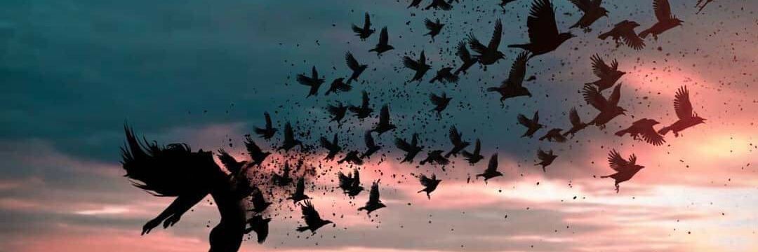 fallenangel6937's profile banner image