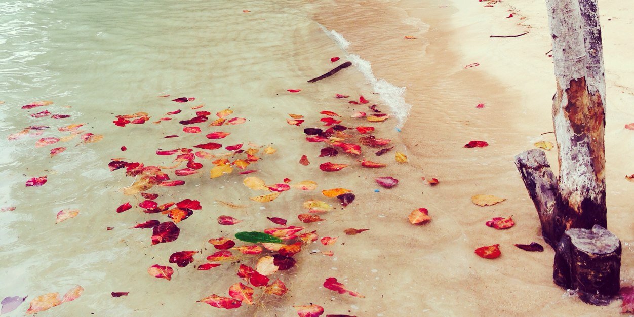 taaap's profile banner image