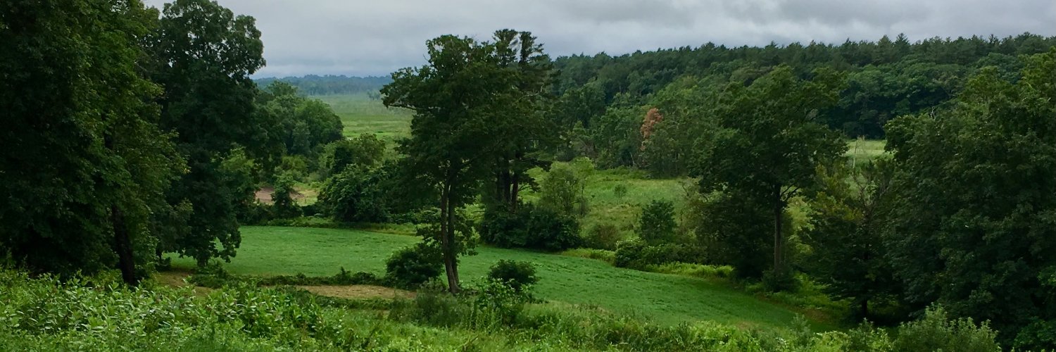 francummings's profile banner image