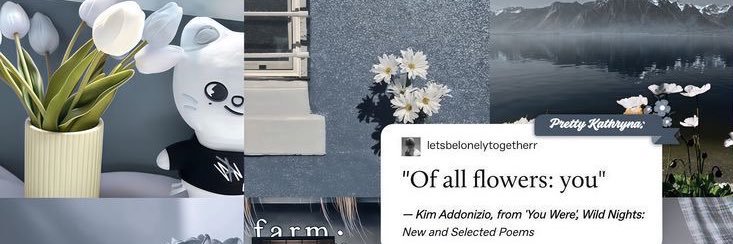 acthena_'s profile banner image
