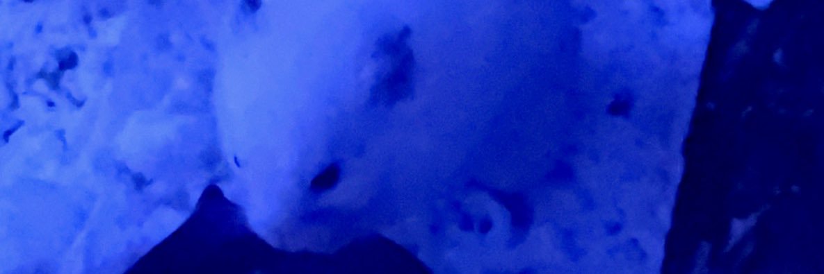 B_Rivz's profile banner image