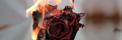 4drn4_'s profile banner image