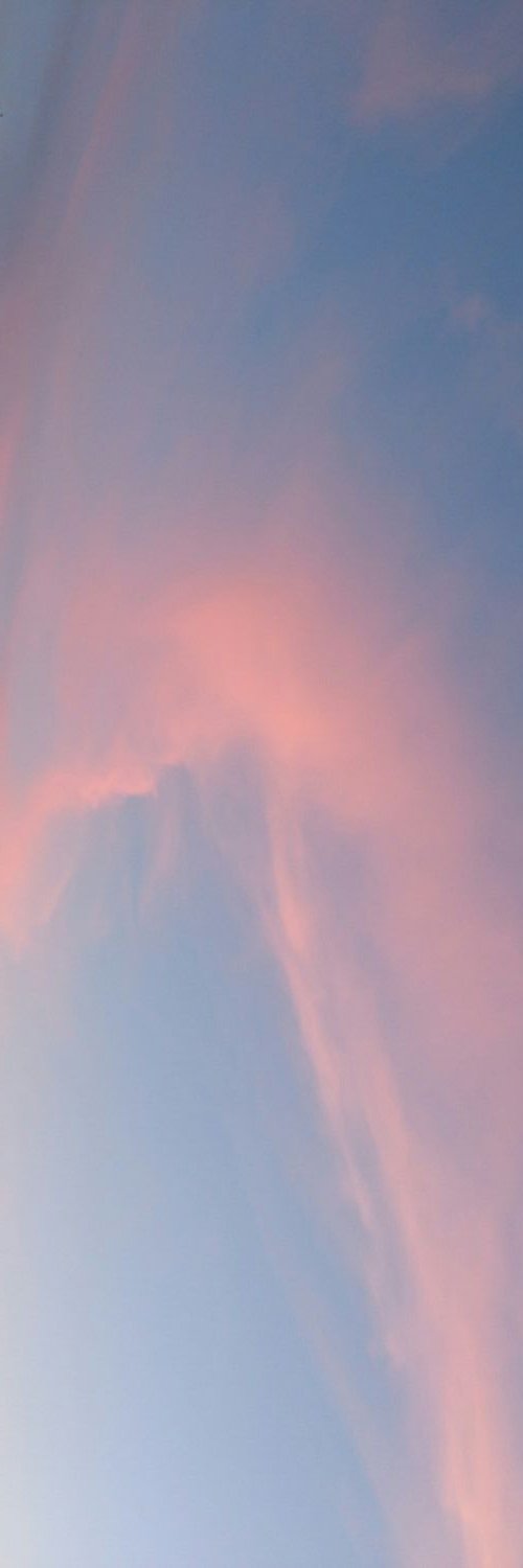 dalma_eli's profile banner image
