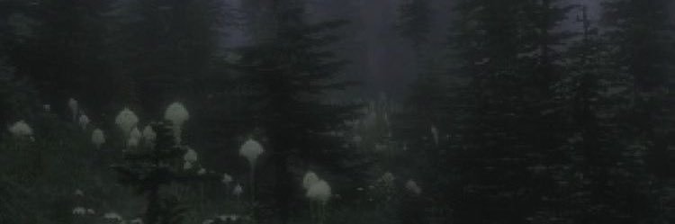 AlxssaDawn's profile banner image