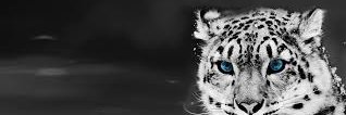 pavanpatil196's profile banner image