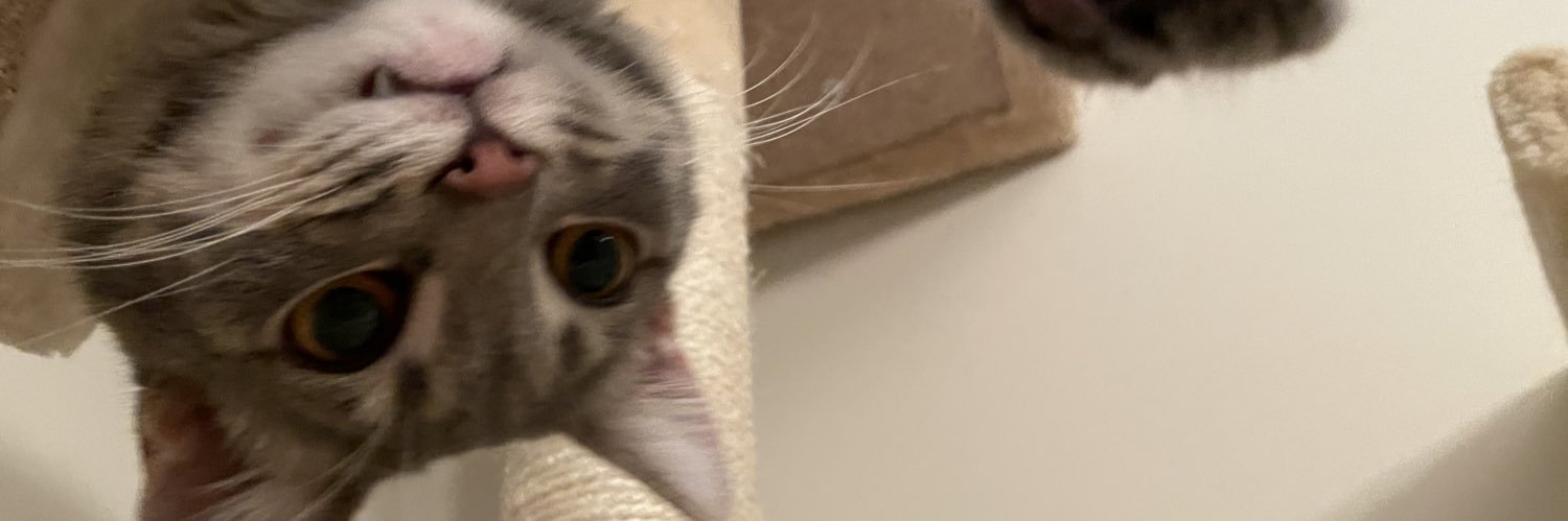 MonacoSal's profile banner image