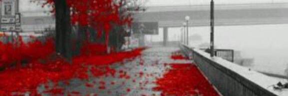 78_kn's profile banner image