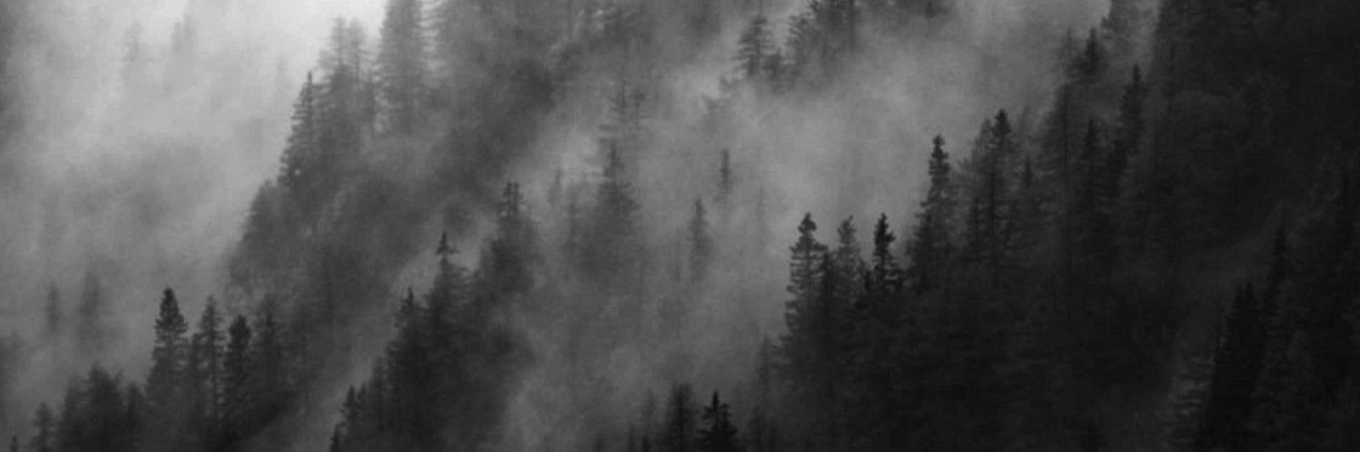 notbryaaan's profile banner image