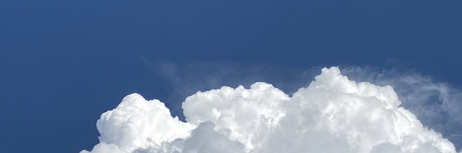 fernandacorell1's profile banner image