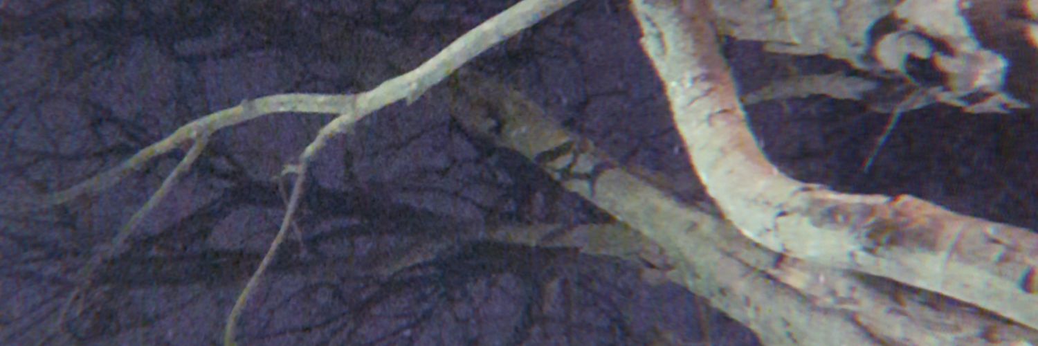 Gilaangard's profile banner image
