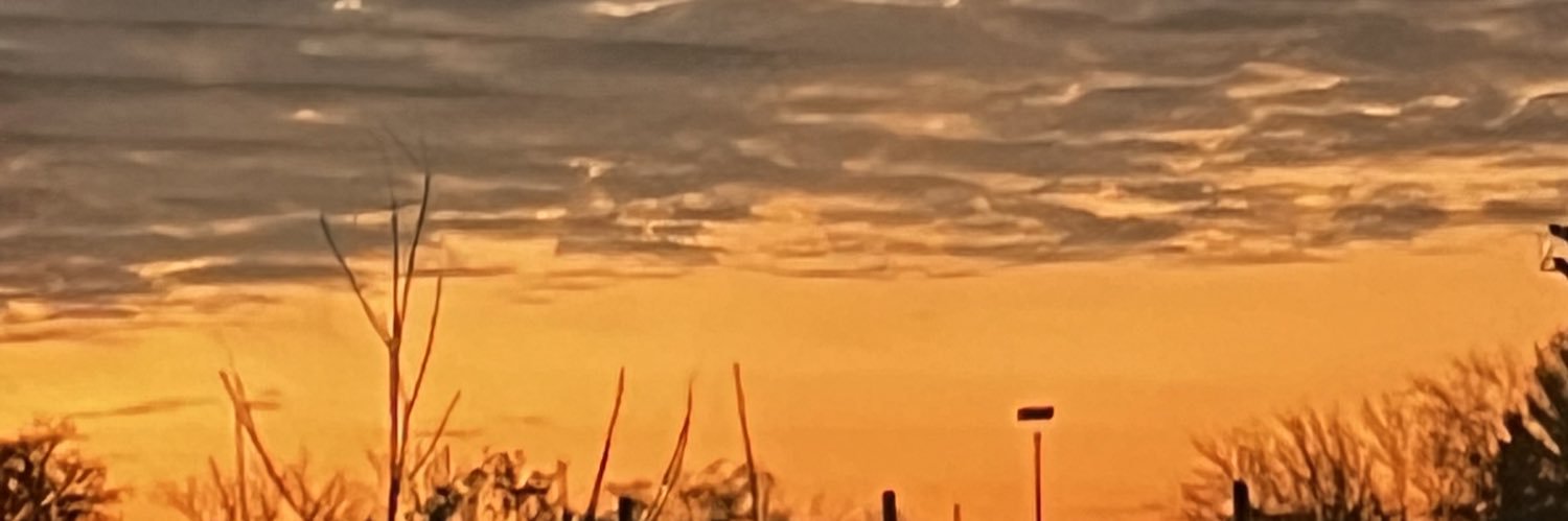Javicutz1 banner