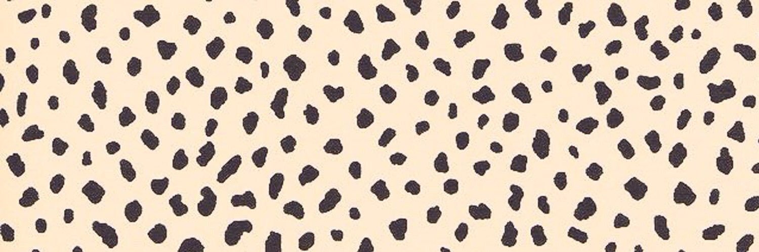 kennedyfoster1's profile banner image