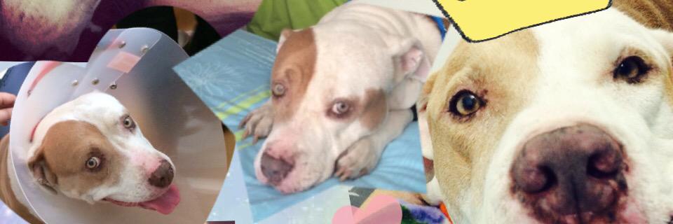 Ximena12's profile banner image