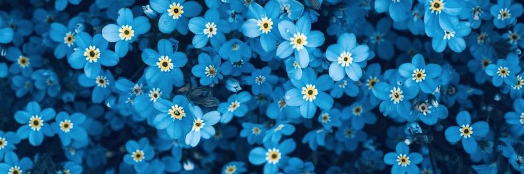 Bantamweight BART 🍉 banner