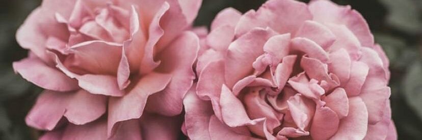 RevainerAngeles's profile banner image