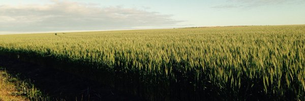 SamAgroFethers Profile Banner