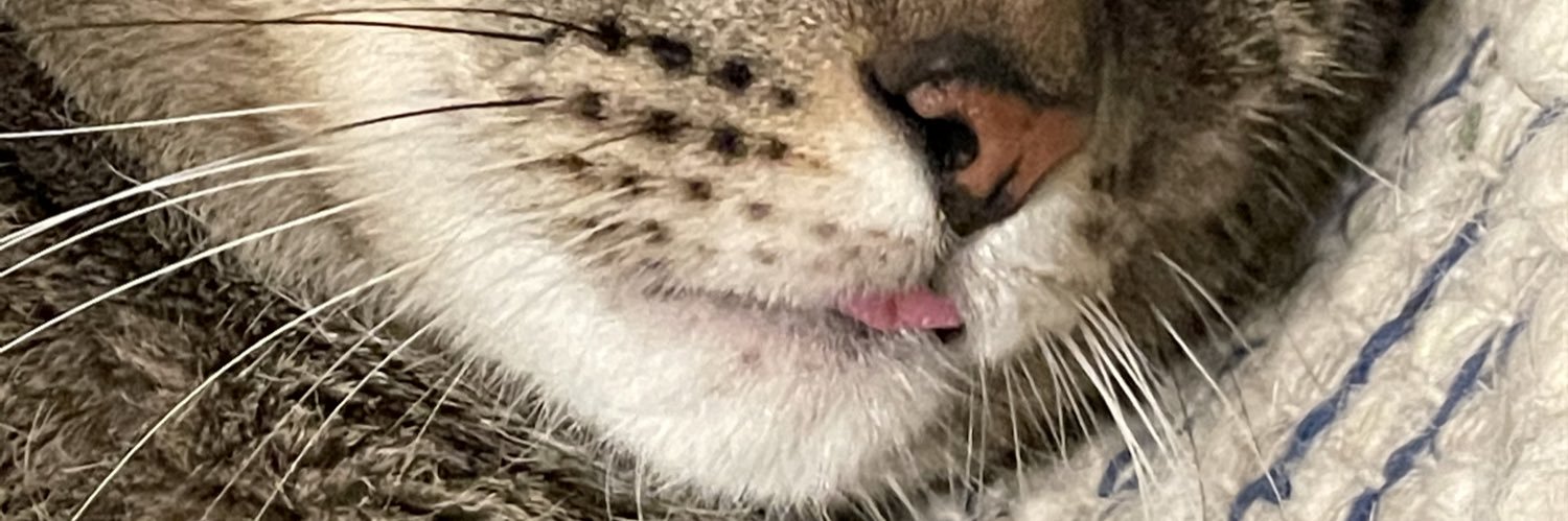 ChrisssCheeto's profile banner image