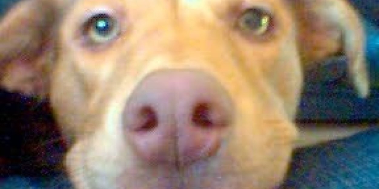 MaryMKK67's profile banner image
