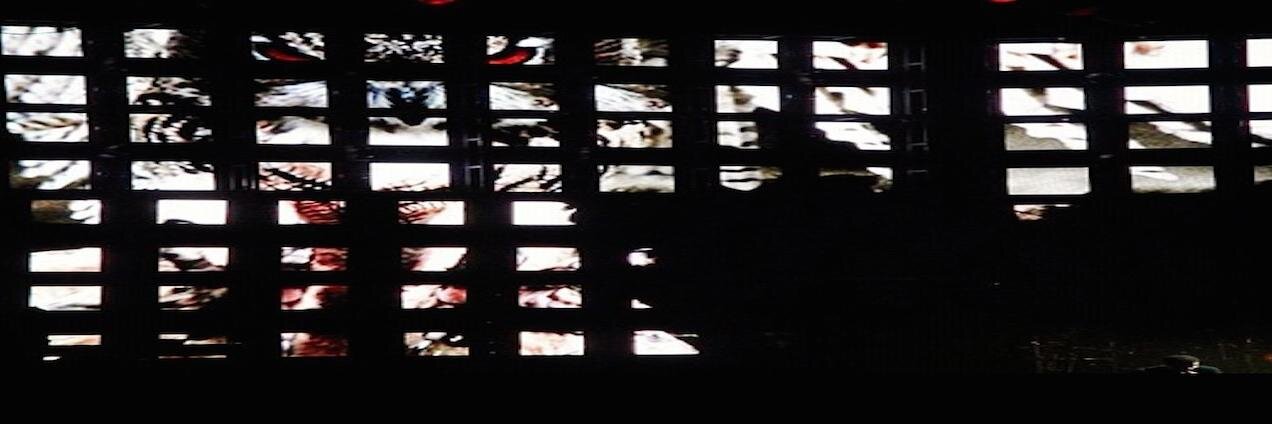 Captain Cristobal banner