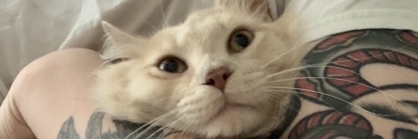 TheWordOfAlex's profile banner image