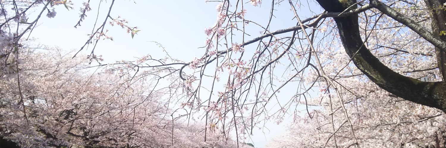 とーふ banner
